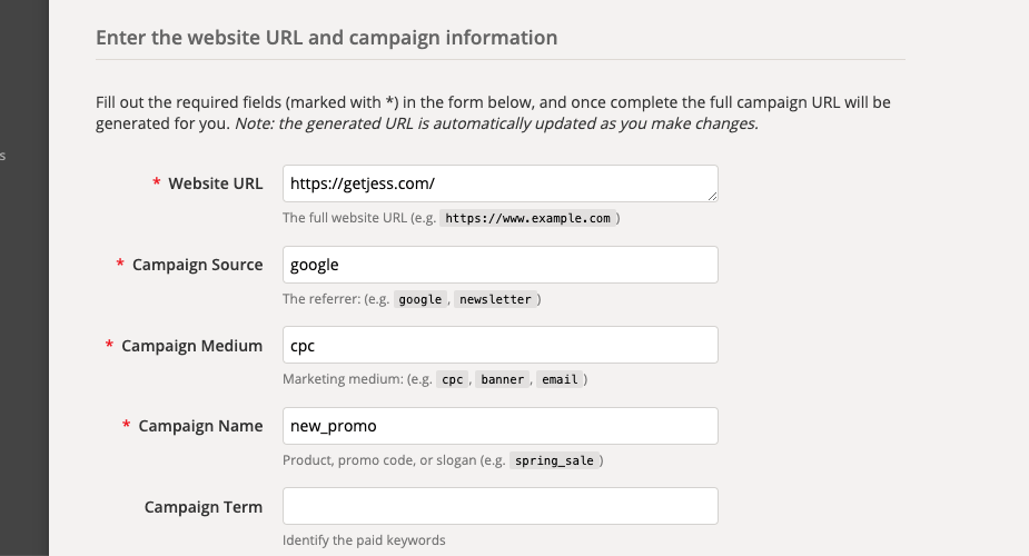 screenshot of the google campaign URL builder